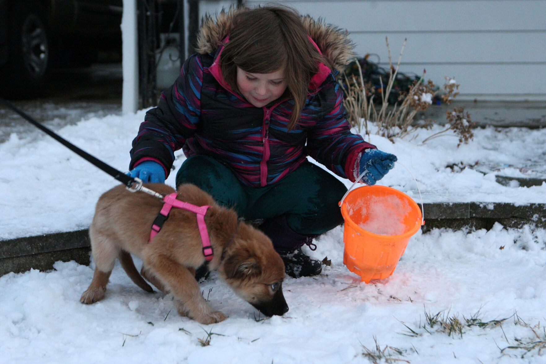Sammie Maune pets her dog while playing in the snow